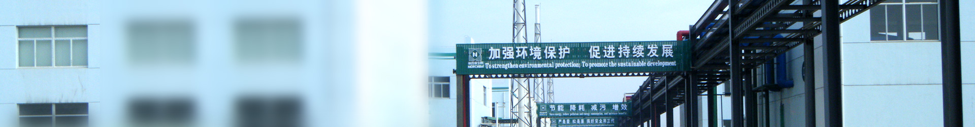 社會責(zé)任